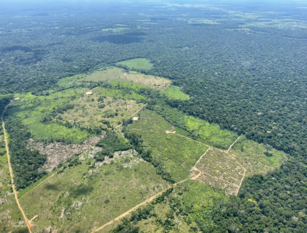 Deforestacion amazonia