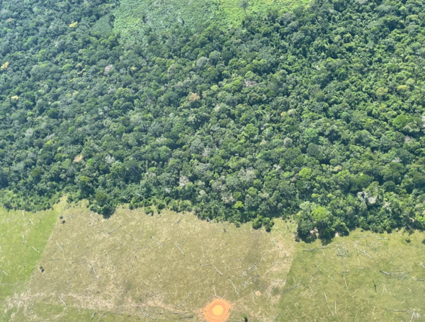 Deforestacion amazonia
