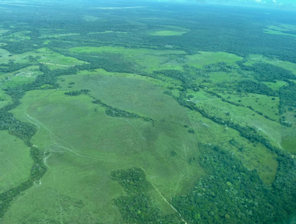 Deforestacion amazonia