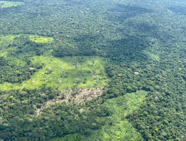 Deforestacion amazonia