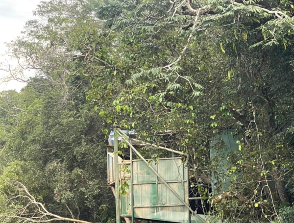 Megaoperaci??n binacional contra la miner??a ilegal en la Amazon??a afect?? las finanzas de ???Mordisco??? y los ???Comandos de Frontera???