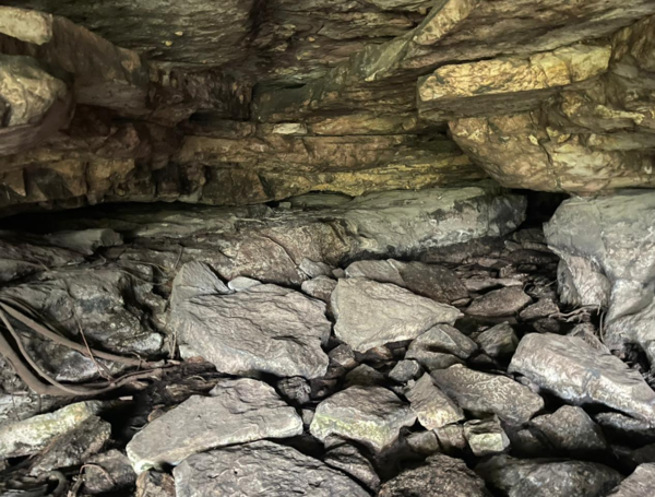 Pictogramas de Cerro Azul en la Serran??a de La Lindosa.
