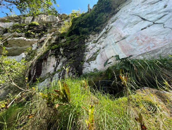Pictogramas de Cerro Azul en la Serran??a de La Lindosa.