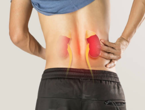 Kéfir para la salud renal.