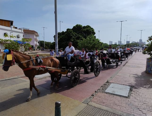 Los caballos cocheros ya no pueden circular por el Centro Histórico
