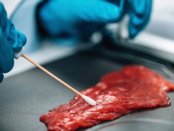 Su mensaje se alinea con las recomendaciones de numerosos organismos internacionales