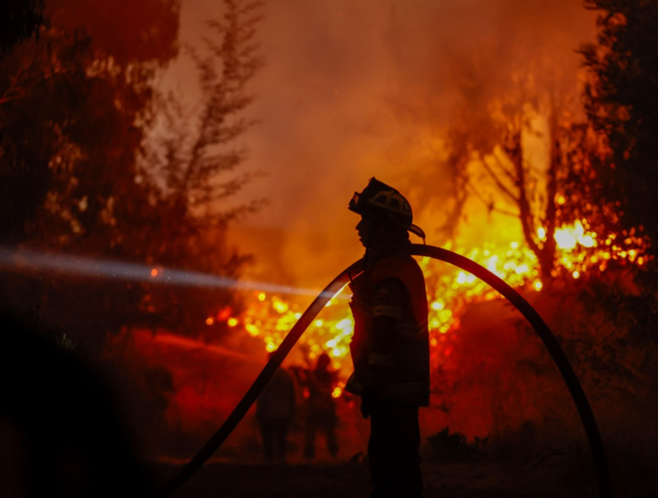 Un bombero lleva una manguera mientras trabaja para extinguir la vegetación en llamas durante un incendio forestal en Concepción.