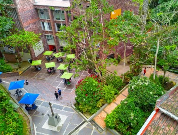 Unab verde