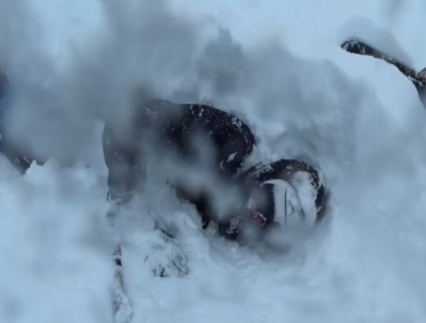 Video muestra el momento del rescate de un esquiador que quedó atrapado ...