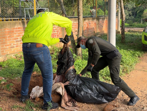 Perrita asesinada
