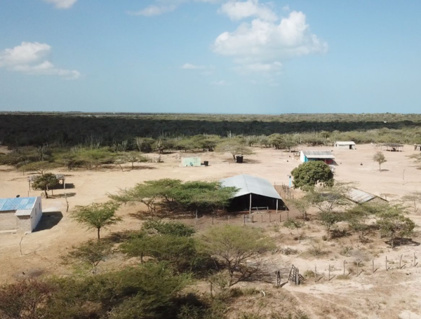 Estos son los cinco departamentos donde más calor hace actualmente: en municipios como Natagaima y Valledupar las temperaturas alcanzan casi los 40 °C