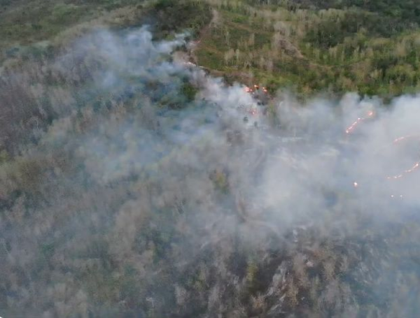Gobierno alista 'emergencia nacional' para lanzar salvavidas al agro golpeado por El Niño: estas son sus peticiones urgentes