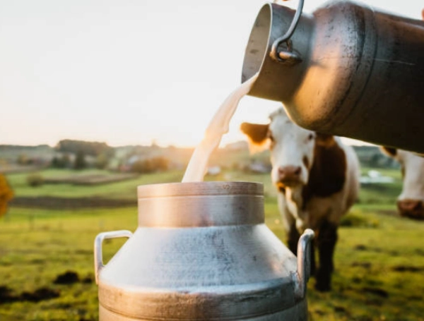 ¿Por qué el incremento de las carnes, frutas y alimentos enciende las alarmas en el costo de vida en Colombia?