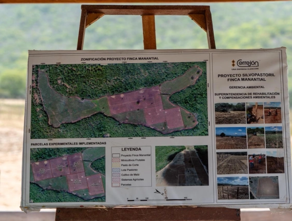 La granja experimental que busca descubrir qué se puede sembrar en la misma tierra donde hubo minería de carbón: todas las cosechas han dado resultado