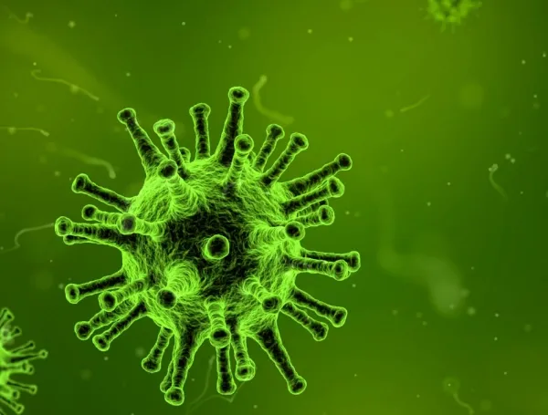 Estos son los principales síntomas del norovirus, el brote que ha dejado más de 100 contagiados en un crucero que partió de San Francisco, California