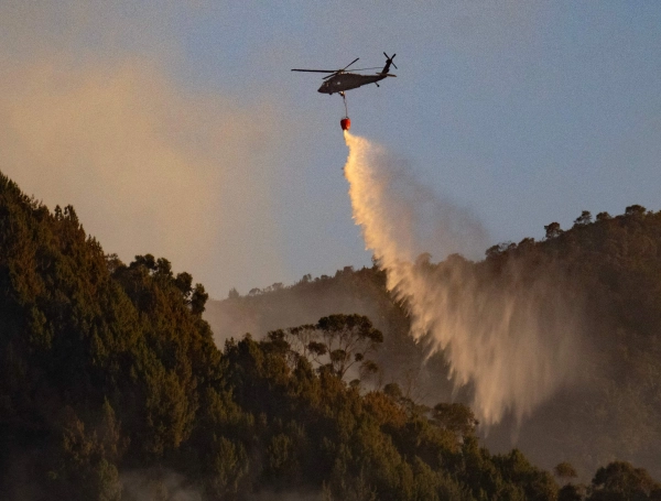 ‘Lo que se está configurando es probablemente el fenómeno de El Niño más fuerte desde que se tenga registro’: la advertencia de la directora del Ideam