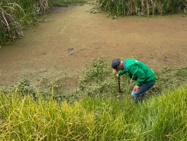 Bogotá prueba una aplicación que busca convertir a los ciudadanos en guardianes de los humedales