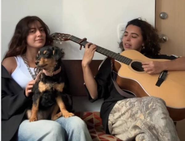 No es solo el hablado: Dulce María, la perrita costeña adoptada por familia rola, también prefiere el vallenato al tropipop