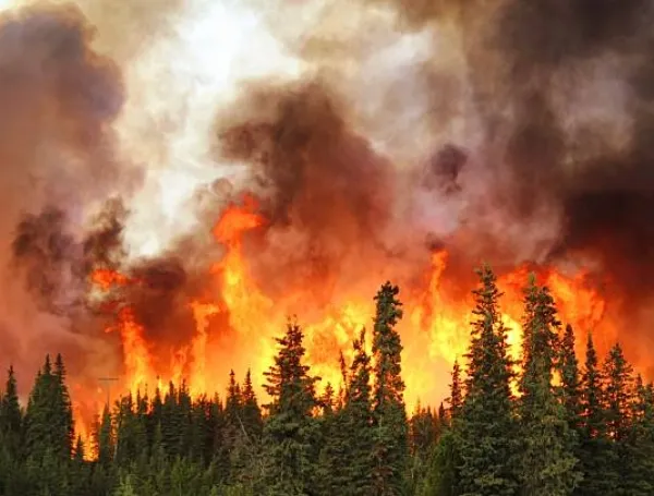 Incendio