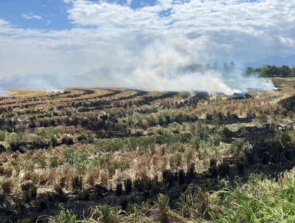 Capturan a hombre acusado de incendio en el Huila.