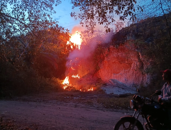 Colombia enfrenta 24 incendios forestales activos: Tolima concentra la mayor emergencia