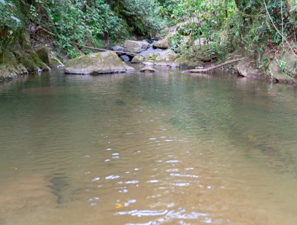 Bajos niveles de caudales en Antioquia