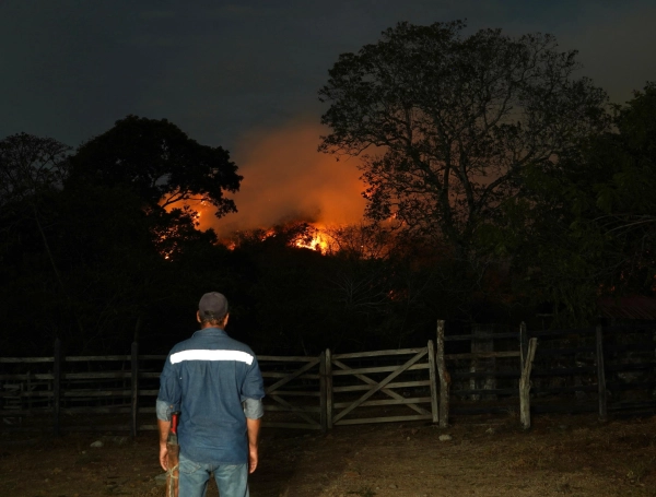 Los incendios forestales en el Tolima han dejado al menos 2.660 productores del campo damnificados