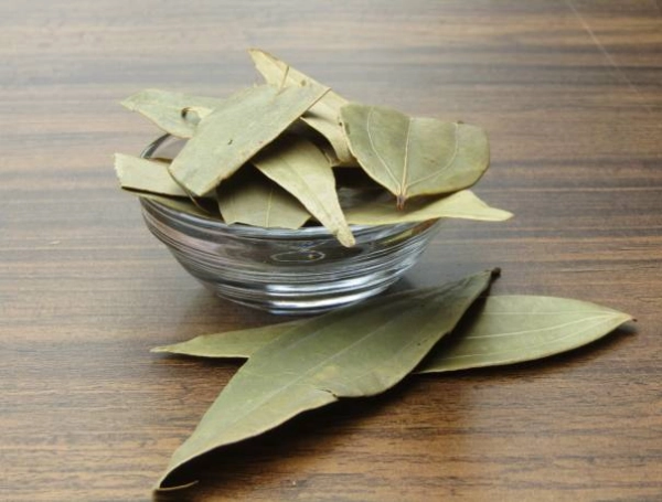 laurel