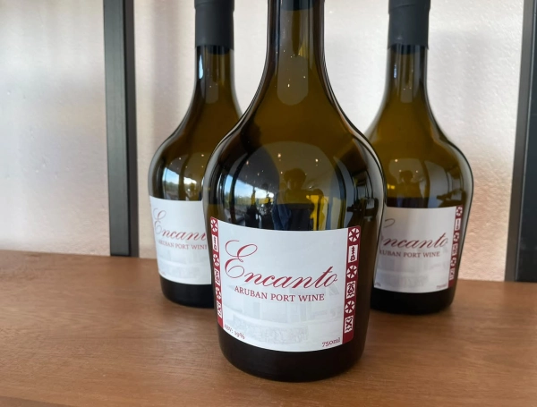 El viñedo que va contra la lógica climática: Alto Vista Winery, una bodega erigida entre cactus, sol y el desierto caribeño de Aruba