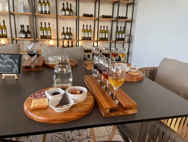 El viñedo que va contra la lógica climática: Alto Vista Winery, una bodega erigida entre cactus, sol y el desierto caribeño de Aruba