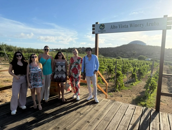 El viñedo que va contra la lógica climática: Alto Vista Winery, una bodega erigida entre cactus, sol y el desierto caribeño de Aruba