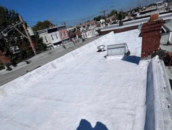 Estados Unidos pintó de blanco 340 techos de viviendas de bajos ingresos: el experimento redujo el calor de los inmuebles y ahorró electricidad