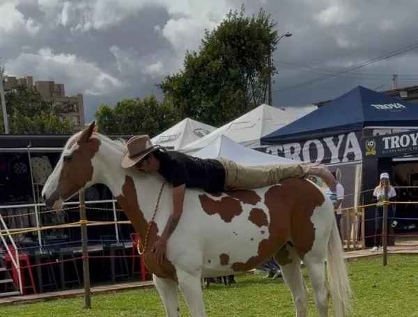 Doma respetuosa y terapias con caballos, el foco del congreso mundial que busca posicionar a Colombia: todo lo que debe saber sobre el evento