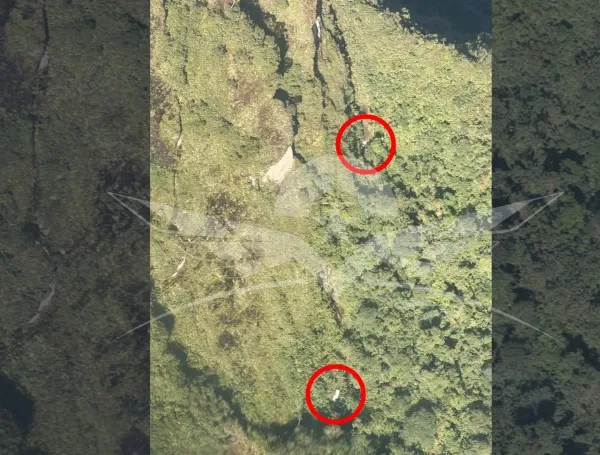 La entidad entregó información sobre el paradero de la aeronave que se trasladaba con un piloto y cuatro pasajeros