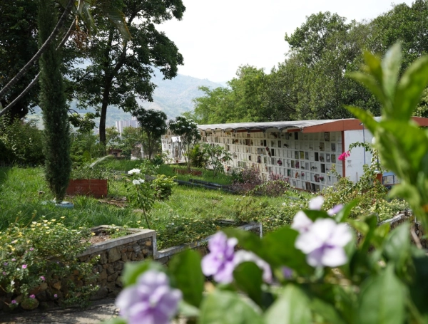 Intervención en cementerios de Medellín y Bello