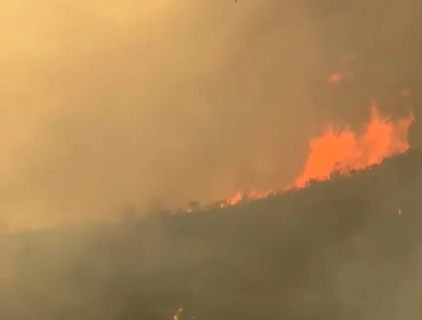 Imagen de uno de los incendios que permanece en las montañas de Chaparral.