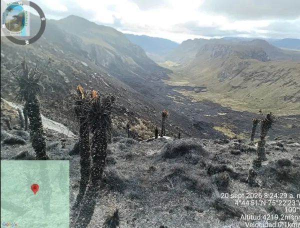Parques Nacionales no ha establecido públicamente cuál fue el origen del incendio.