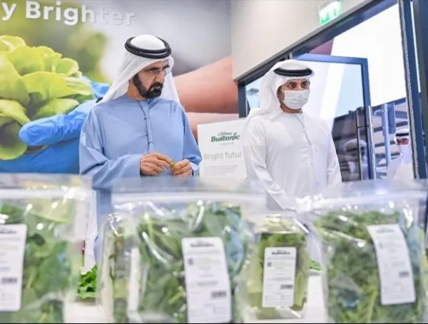 La experiencia de Emiratos: tecnología e innovación al servicio del medio ambiente y la seguridad alimentaria