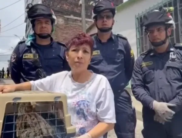 El felino quedó bajo el cuidado de una mujer de la comunidad tras ser retirado de la edificación.