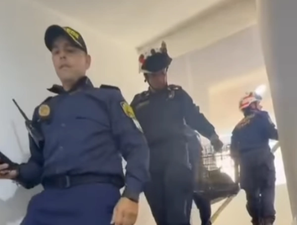 Una trampa especializada permitió que los bomberos lograran sacar al gato del techo.