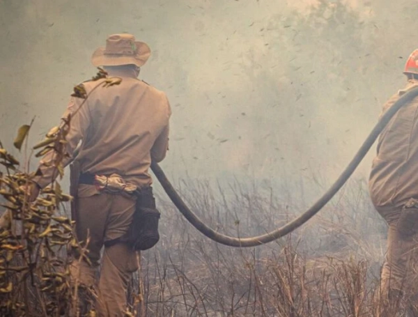 Incendios forestales
