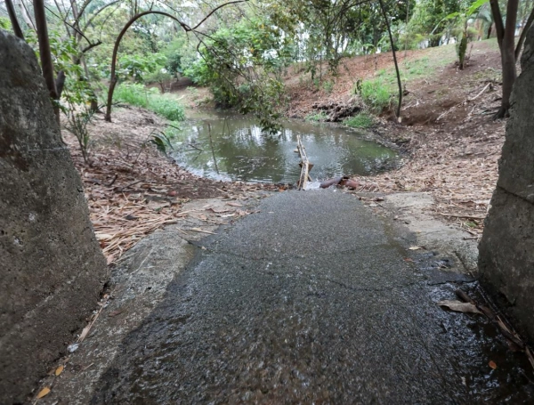 La transfusión de agua al humedal El Limonar de Cali.