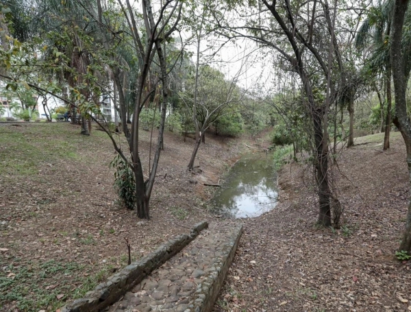 La transfusión de agua al humedal El Limonar de Cali.