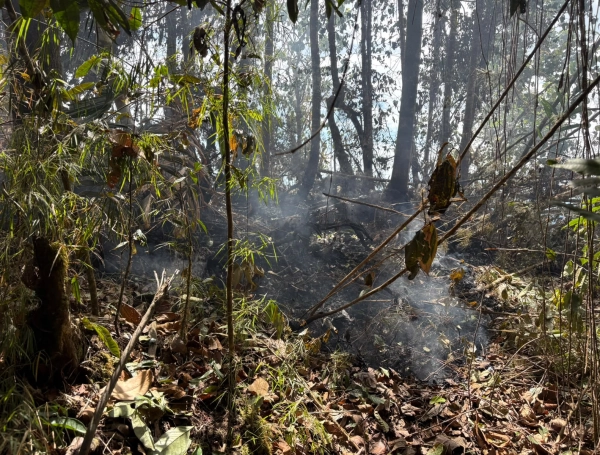 Comunidad, Defensa Civil  y Bomberos atienden esta emergencia