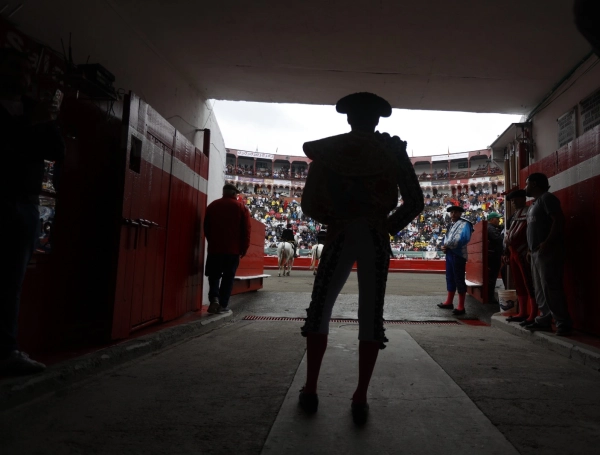 toros Manizales