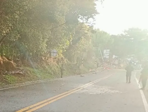 Vía Panamericana