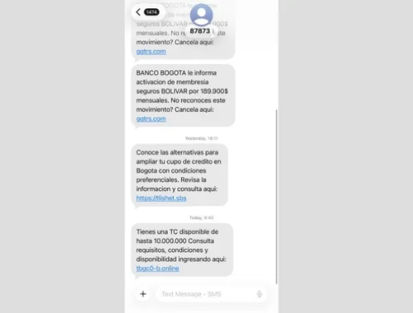 Fraudes tecnológicos.