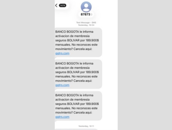 Fraudes tecnológicos.