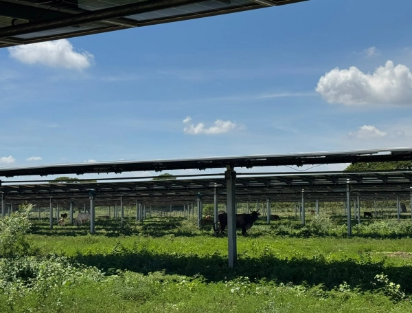 Granjas solares en Cesar.