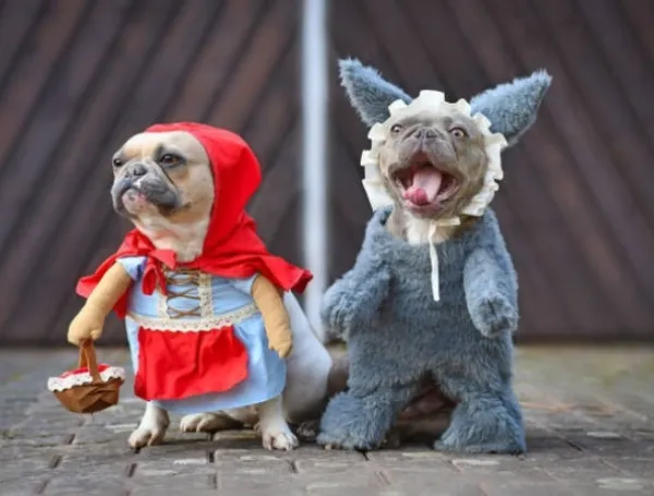Halloween.